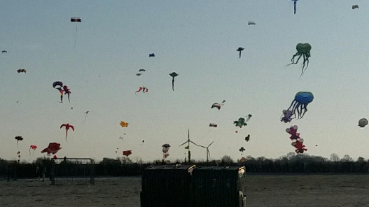 Drachenfest Drachenfest